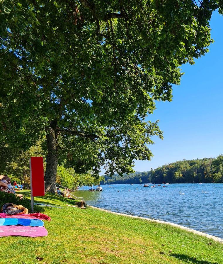 Ferienwohnung Rheinblick In Buesingen -Keine Monteure- Busingen Eksteriør bilde