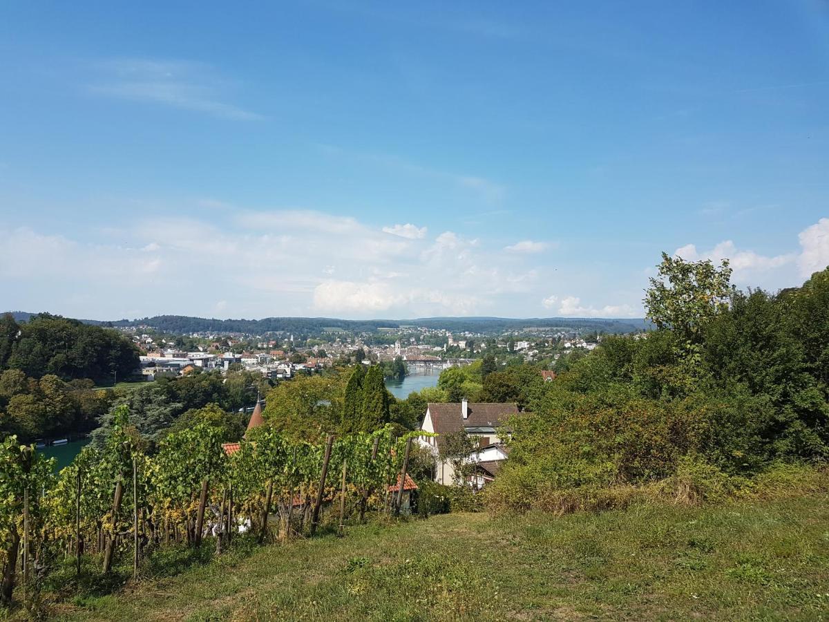 Ferienwohnung Rheinblick In Buesingen -Keine Monteure- Busingen Eksteriør bilde