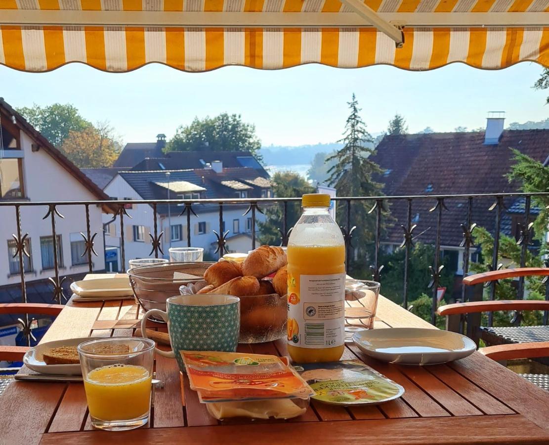 Ferienwohnung Rheinblick In Buesingen -Keine Monteure- Busingen Eksteriør bilde