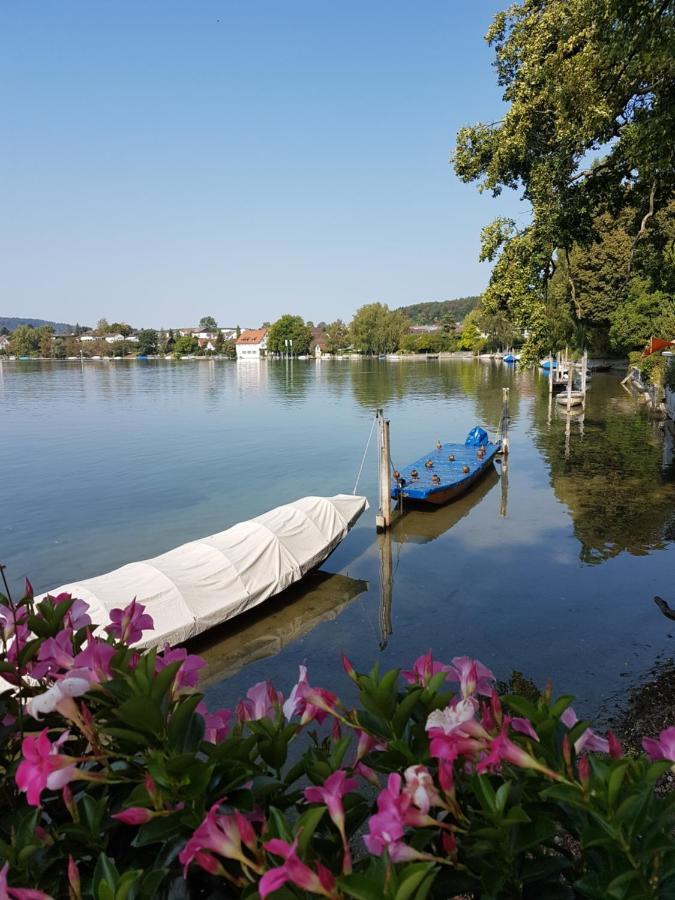 Ferienwohnung Rheinblick In Buesingen -Keine Monteure- Busingen Eksteriør bilde