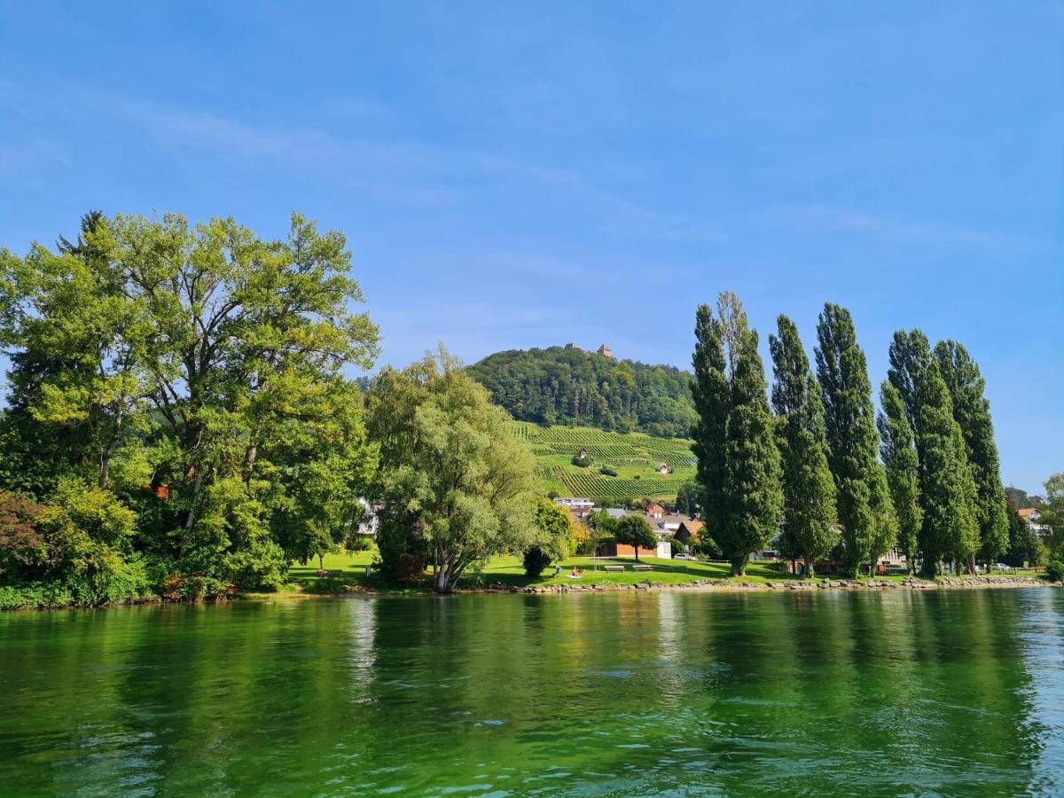 Ferienwohnung Rheinblick In Buesingen -Keine Monteure- Busingen Eksteriør bilde