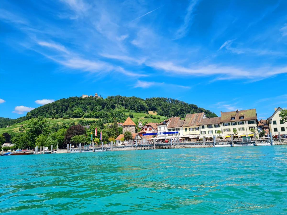 Ferienwohnung Rheinblick In Buesingen -Keine Monteure- Busingen Eksteriør bilde