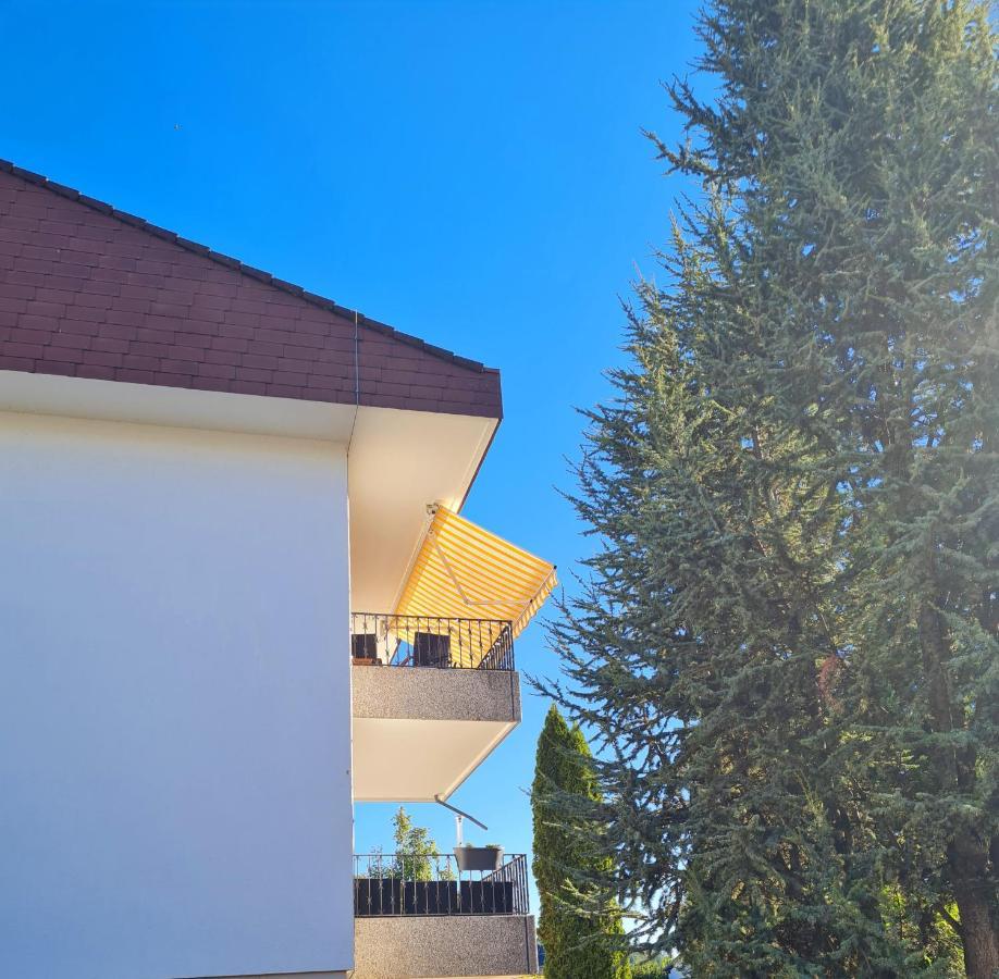 Ferienwohnung Rheinblick In Buesingen -Keine Monteure- Busingen Eksteriør bilde